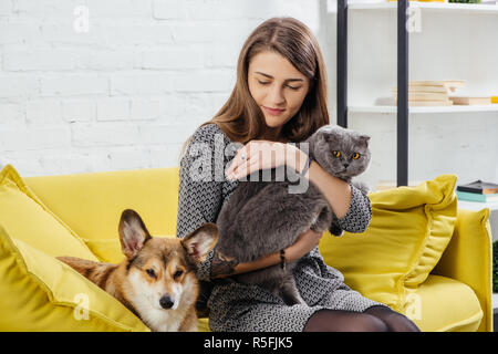 beautiful woman sitting on sofa with pembroke welsh corgi and adorable scottish fold cat