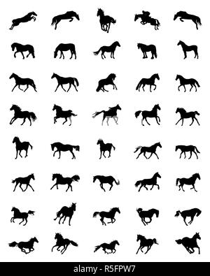 Black silhouettes of horses on a white background Stock Photo