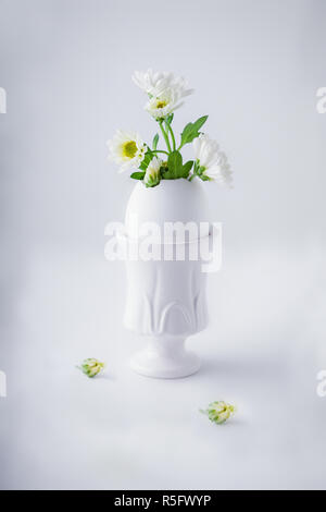 Bunch of white chrysanthemum flowers growing from egg shell Stock Photo