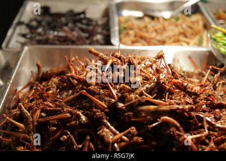 Roasted insects at a street vendor in Khao San road, Bangkok, Thailand Stock Photo