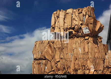 Old paper, stacked bales with cardboard boxes in a recycling plant, Germany Stock Photo