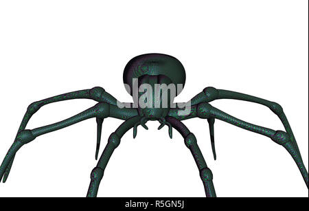 horror spider released Stock Photo