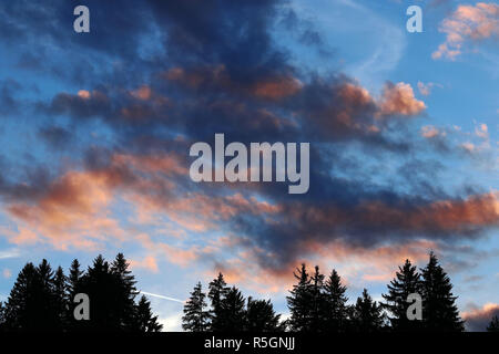 colorful clouds in the evening sky over a forest Stock Photo
