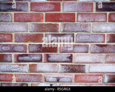 many coloured brick wall texture and pattern Stock Photo