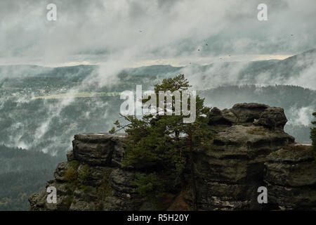 Deadpan dark misty rainy morning landscape with the sand rocky montains in Czech Saxon Switzerland in autumn colors. Stock Photo