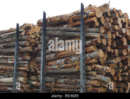 woodpile timber stack forestry transport trees trunks forest industry Stock Photo