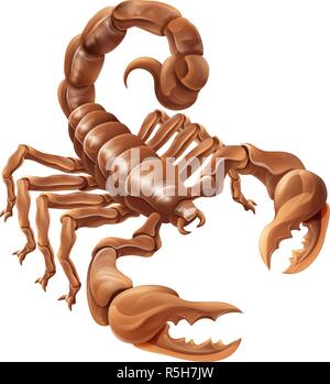 Scorpion Scorpio Zodiac Sign Design Stock Vector
