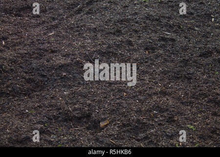 Wet dirt empty with space. Background or texture. Stock Photo