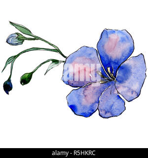 Blue flax flower with green leaves and buds. Isolated flax illustration element. Watercolor background set. Stock Photo