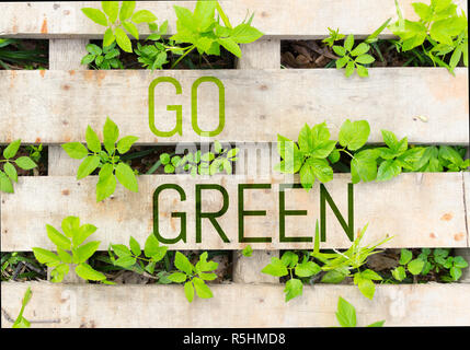 Go green concept image. green plants and wood Stock Photo