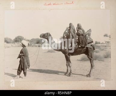 Sindhi women on a camel. A portrait of two Sindhi women seated on a camel being led by a man. Album of Famine Camp views in the Poona District and Canal Construction Scenes in Sindh. 1890s. Photograph. Source: Photo 940/1(29). Author: UNKNOWN. Stock Photo