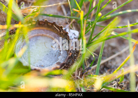 metal garbage on natural background. enviromnemtal pollution effect Stock Photo