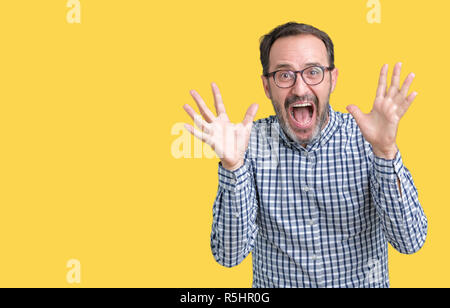 Handsome middle age elegant senior man wearing glasses over isolated background celebrating crazy and amazed for success with arms raised and open eye Stock Photo