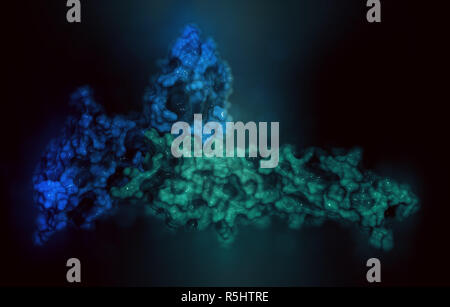 Programmed cell death 1 (PD-1, CD279, blue) immune checkpoint protein bound to programmed death-ligand 1 (PD-L1, green) protein, 3D rendering. PD-L1 i Stock Photo