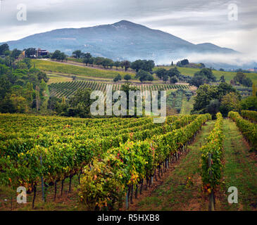 Traditional countryside and landscapes of beautiful Tuscany. Vineyards in Italy. Vineyards of Tuscany, Chianti wine region of Italy. Stock Photo