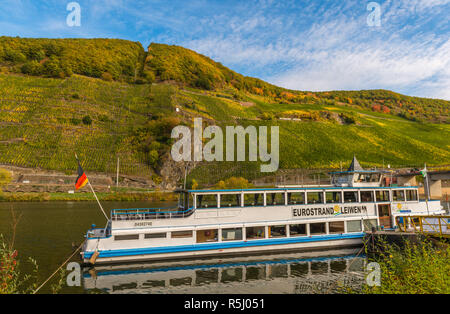 Trittenheim, landscape with vineyards along the Moselle River and valley. Village of Trittenheim, Rhineland-Palantine, Germany, Europe Stock Photo