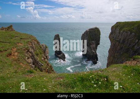 Elegug Stack Rocks, Pembrokeshire, Wales, United Kingdom