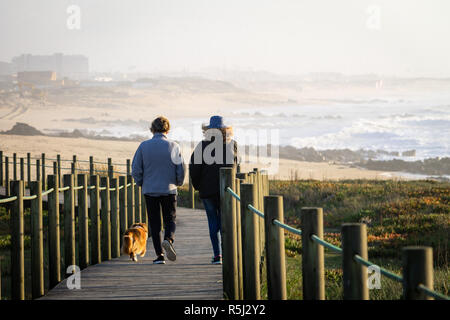 Two middle aged women walk a welsh corgi dog at a wooden boardwalk, near the beach, on a clear day. Rear view. Copy space. Stock Photo