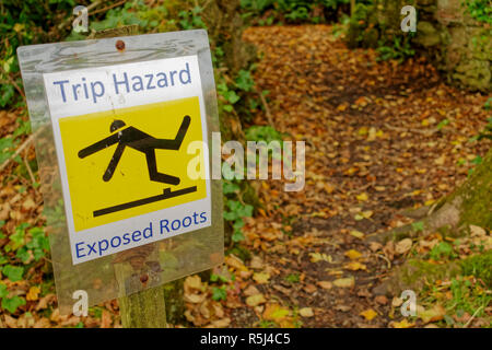 Trip hazard exposed roots warning sign in Scottish garden open to the public. Stock Photo