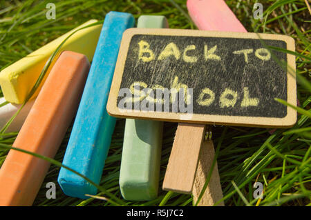 Mini blackboard written Back to school and colorful chalk on a green grass background Stock Photo