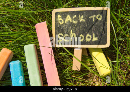 Mini blackboard written Back to school and colorful chalk on a green grass background Stock Photo