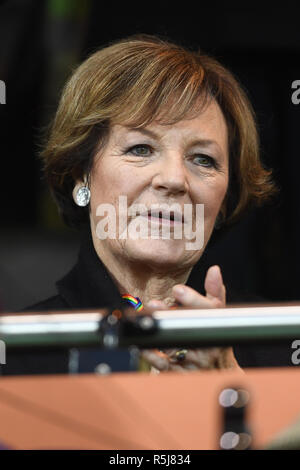 Norwich City director Delia Smith during the Sky Bet Championship match at Carrow Road, Norwich. PRESS ASSOCIATION Photo. Picture date: Saturday December 1, 2018. See PA story SOCCER Norwich. Photo credit should read: Joe Giddens/PA Wire. RESTRICTIONS: EDITORIAL USE ONLY No use with unauthorised audio, video, data, fixture lists, club/league logos or 'live' services. Online in-match use limited to 120 images, no video emulation. No use in betting, games or single club/league/player publications. Stock Photo