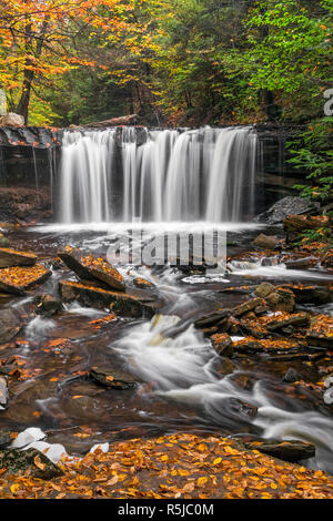 Oneida Falls, a beautiful waterfall in Ganoga Glen at Pennsylvania's Ricketts Glen State Park, flows through an autumn landscape. Stock Photo