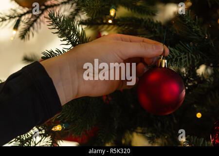 Closeup of the hand of a young woman hanging a red, ball ornament on the branch of a Christmas tree. Stock Photo