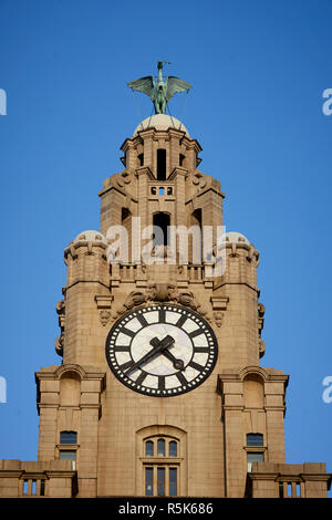 Liverpool Waterfront Royal Liver Building close up of the clock tower face and liver bird statue Stock Photo