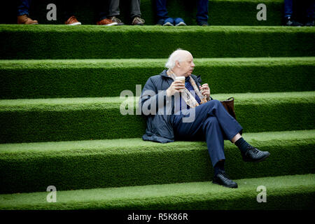 Liverpool city centre Liverpool One artificial grass cover steps seating area Stock Photo