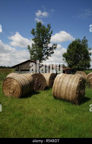 big straw bales under blue sky in summer Stock Photo