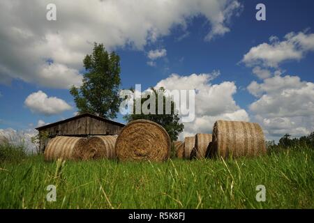 big straw bales under blue sky in summer Stock Photo