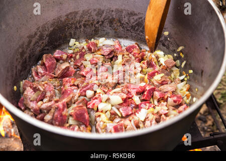 Traditional cooking in the nature. Meat and onion Stock Photo