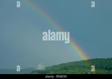 <!doctype html public Stock Photo