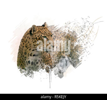 Leopard portrait. Artwork watercolor illustration. Hand drawn animal on  white Stock Photo - Alamy