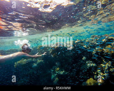 Young boy Snorkel swim in shallow water with coral school of fish Stock Photo