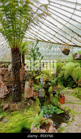 The Sunken Victorian Fernery at Ascog Hall Garden near Rothesay in the Isle of Bute, Argyll, Scotland.