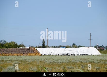 Skird of bales of hay. Storage of hay in the open air. Stock Photo