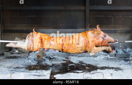 Red roasted juicy pig spinning on the spit Stock Photo