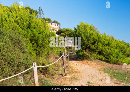Road with rope handrail in a grove in the mountain Stock Photo