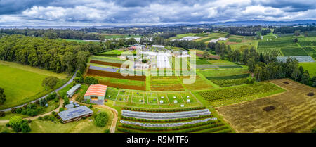 Aerial panorama of agricultural fields and countryside in Wandin East, Melbourne, Australia