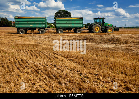 green tractor driving through wheat field Stock Photo