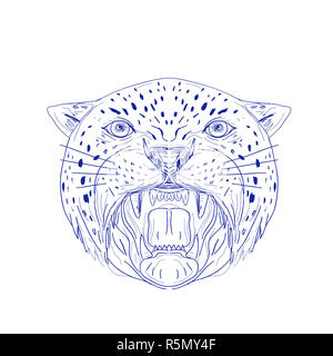 20+ Fantastic Ideas Angry Jaguar Face Drawing | Armelle Jewellery