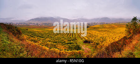 Panorama of Wachau valley. Colorful autumn in vine yards Stock Photo