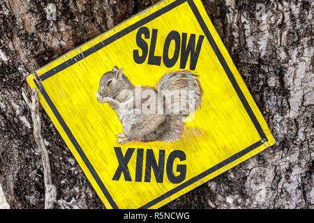 Florida Key Largo Florida Keys,US highway Route 1,Overseas Highway,traffic,road,sign,slow,squirrel crossing,slow,FL090922048 Stock Photo