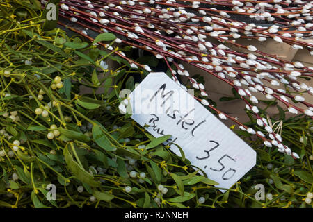 Mistletoe for sale at weekend market inn Berlin, Germany Stock Photo