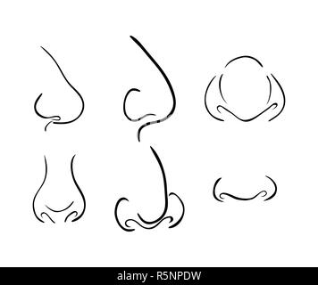 cartoon nose SET,vector symbol icon design. Beautiful illustration isolated on white background Stock Photo