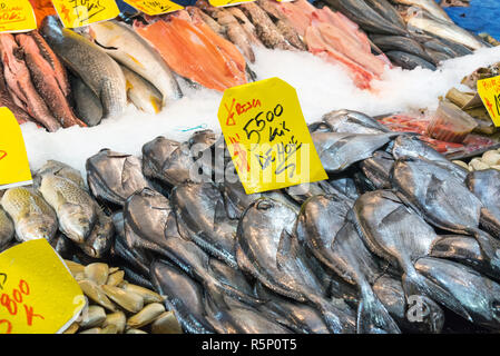 seafood and fish at a market in santiago de chile Stock Photo