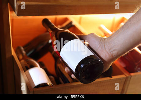 Bottles of wine in the wine cellar. Man chooses wine. Stock Photo