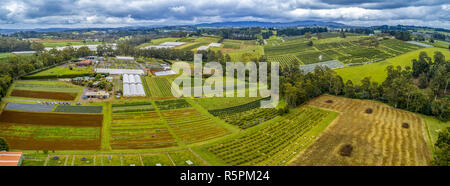 Aerial panorama of cherry farms in Melbourne, Australia Stock Photo